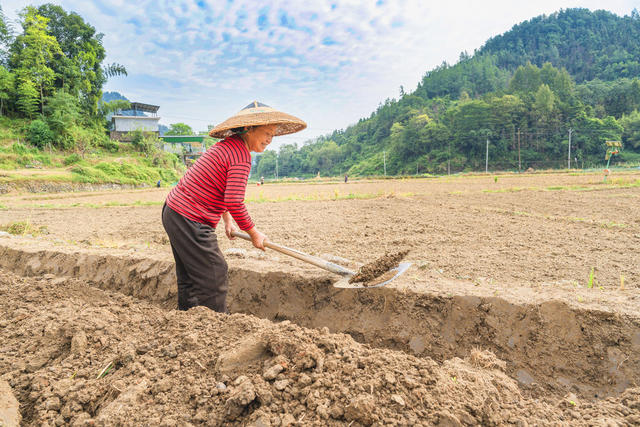 寒露时节  打好秋冬耕种仗  确保农田增效增收