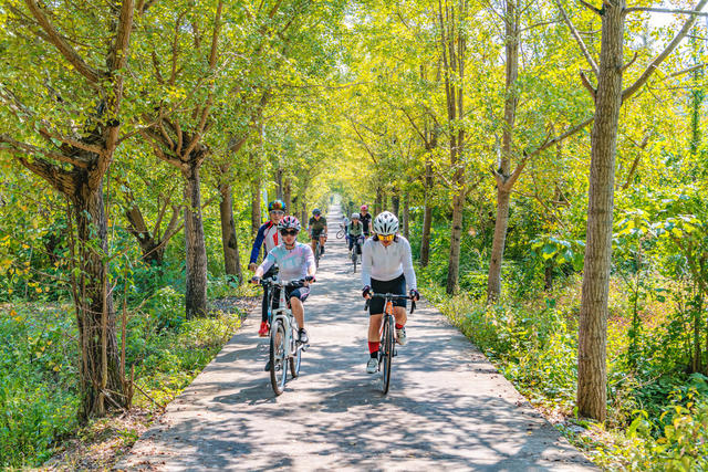 运动  低碳  骑行  健身 