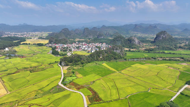 金秋 美景