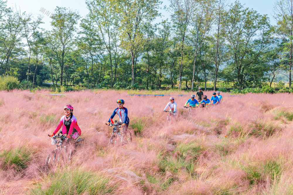 运动  低碳  骑行  健身 