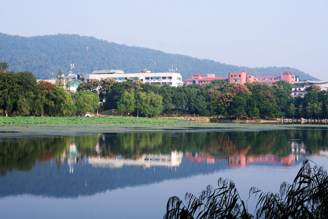 桃子湖，秋色美