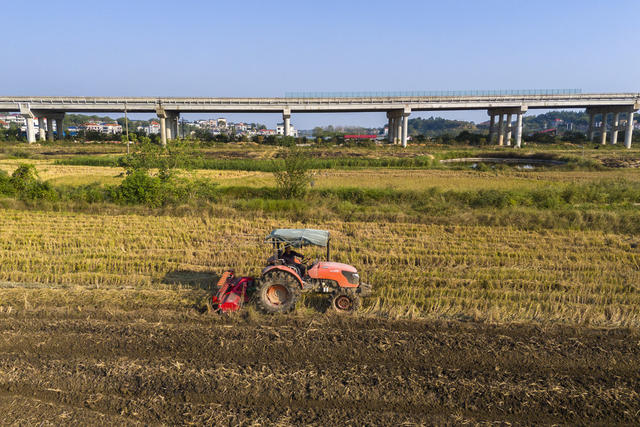 湖南娄底 油菜 油稻轮作 农业增效 农民