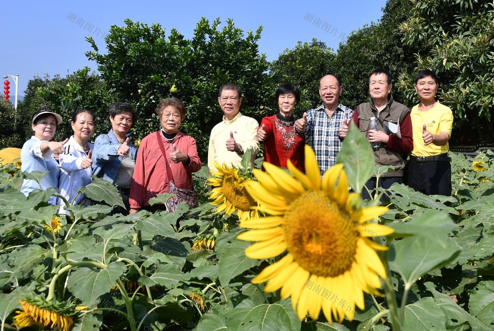 走进自然 乐享重阳