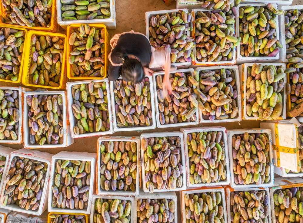 八月瓜
道县
果飘香
