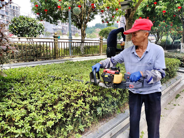 绿化修剪