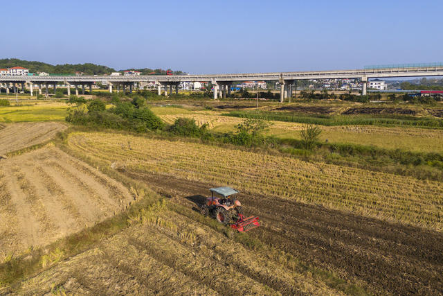湖南娄底 油菜 油稻轮作 农业增效 农民