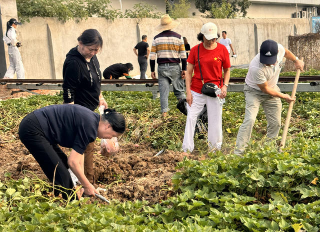 “湖南好人”重阳节让老人“回味童年”欢乐 坐上网红小火车 体验做糕点的乐趣