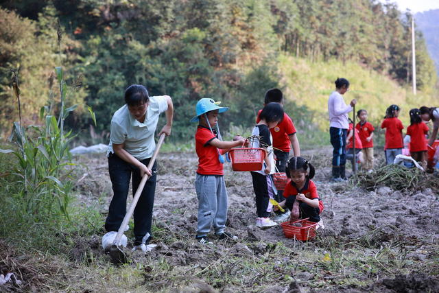 丰收 劳动 教育 课堂 田间地头 学习 体验 节粮