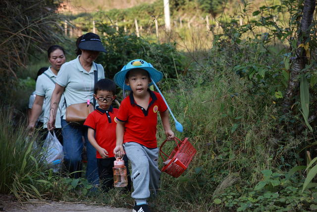 丰收 劳动 教育 课堂 田间地头 学习 体验 节粮