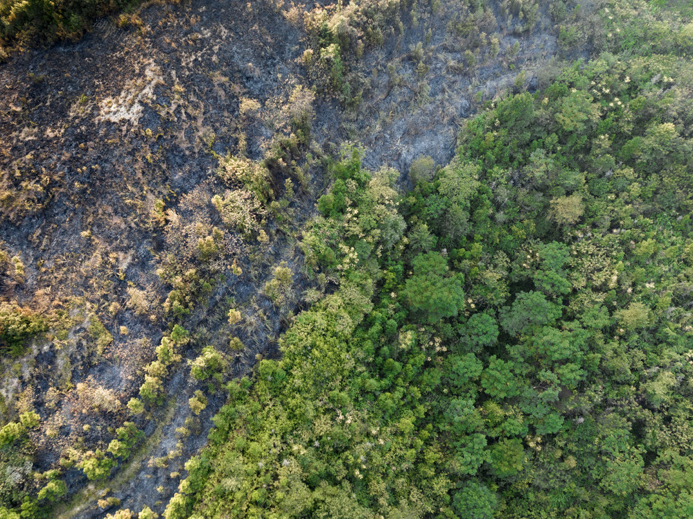 无人机 森林火灾 基层力量 应急管理