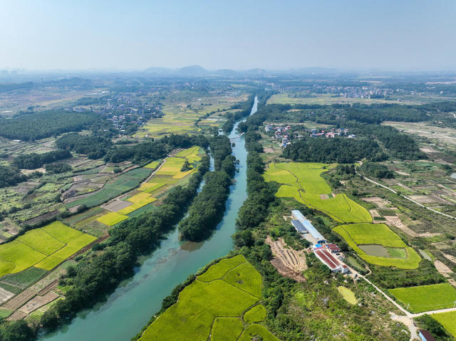 田园
稻田
道县