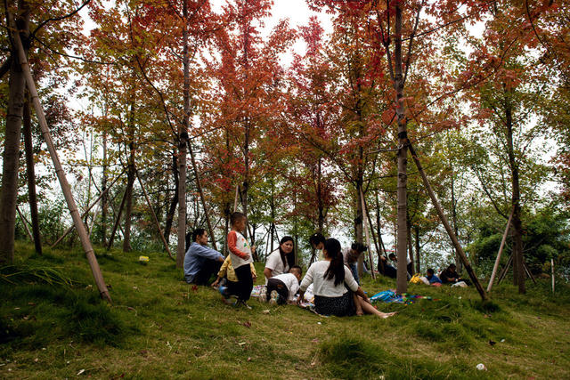 国防教育基地    红枫   飞机大炮