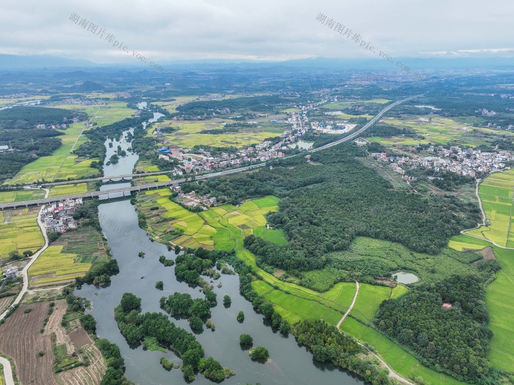 秋色
稻田
晚稻
道县