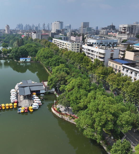 湘潭 雨湖区 梧桐