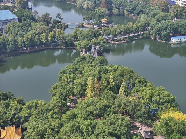 湘潭 雨湖区 梧桐