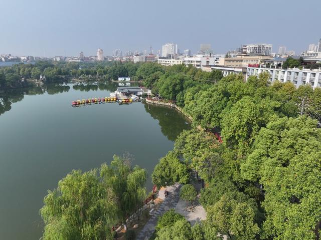湘潭 雨湖区 梧桐