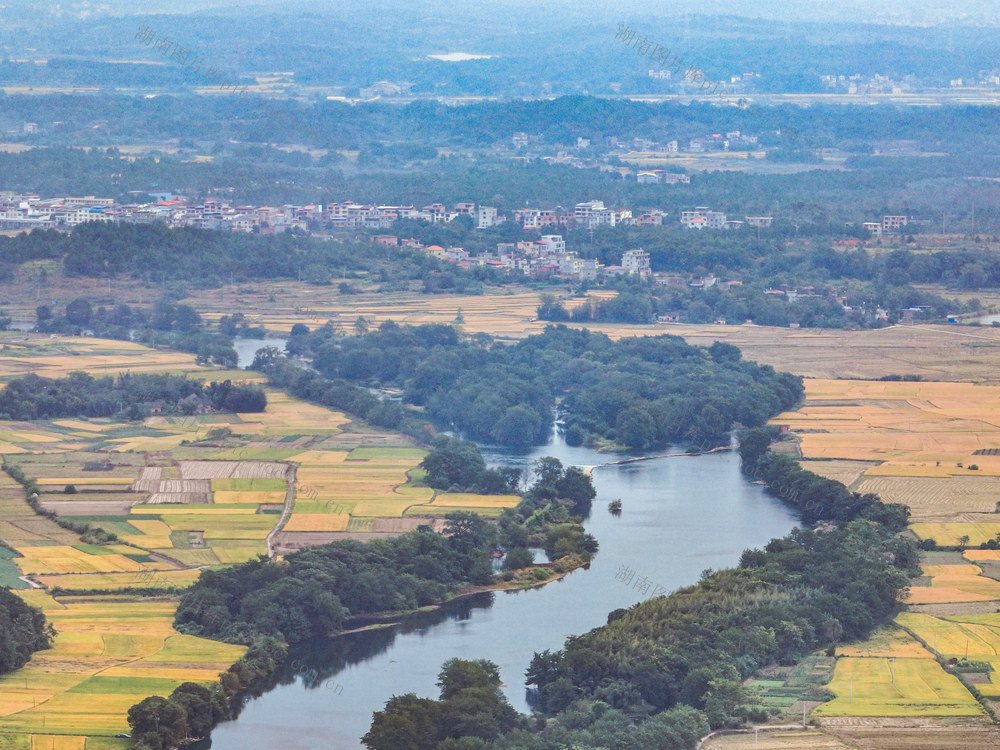 金秋
晚稻
道县