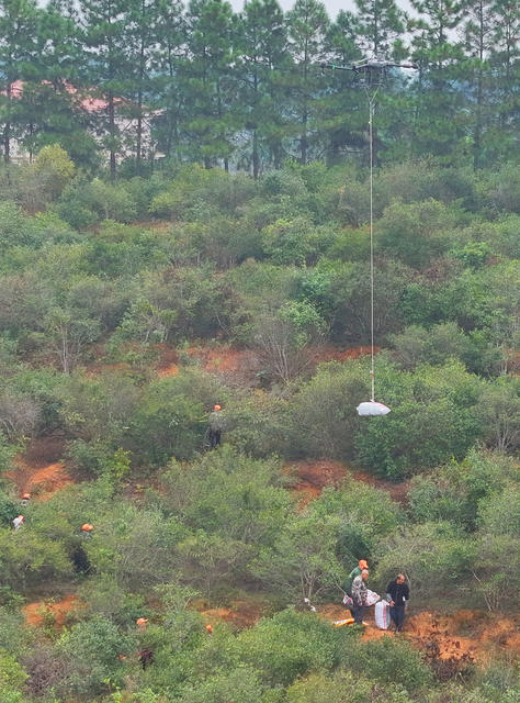 油茶 采摘 晾晒  无人机转运