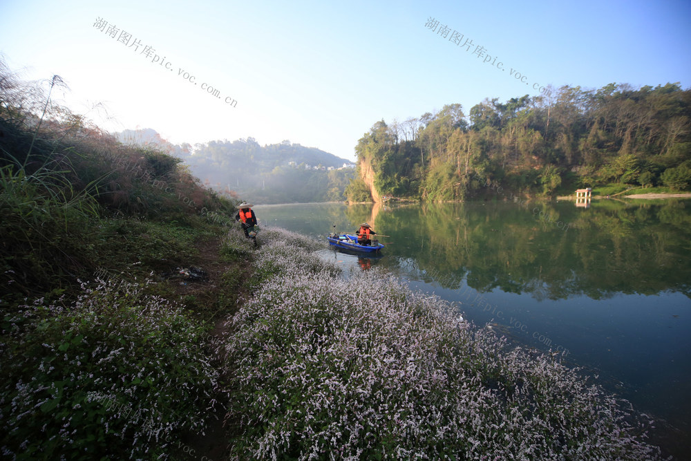 湖南，湘西，打捞，漂浮物，河水，清洁，环境
