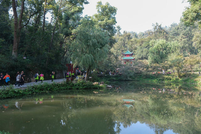 爱晚亭游人如织