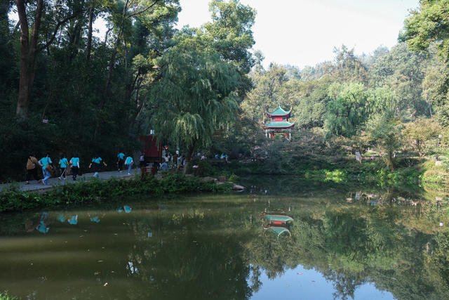 爱晚亭游人如织