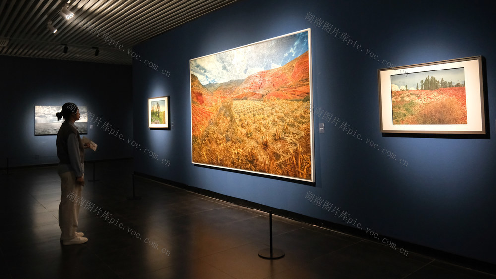 李自健美术馆，陈流作品展