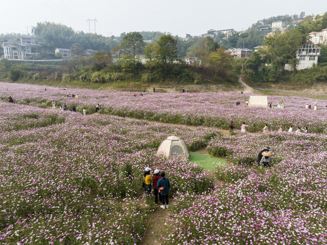 旅游，休闲经济，花海，消费提振，鹤城凉山