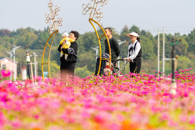 秋日美景 乡村游
