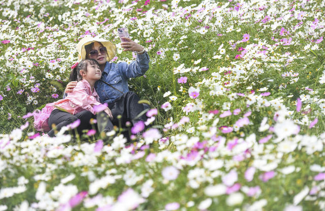 花海
双牌
秋游