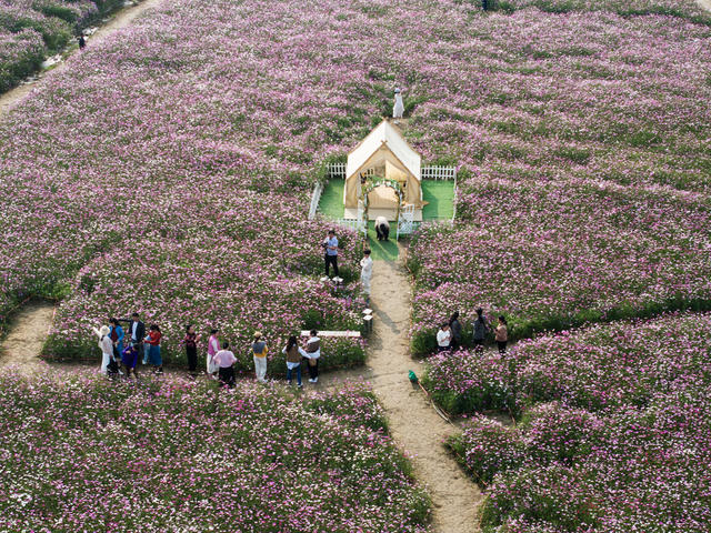 旅游，休闲经济，花海，消费提振，鹤城凉山