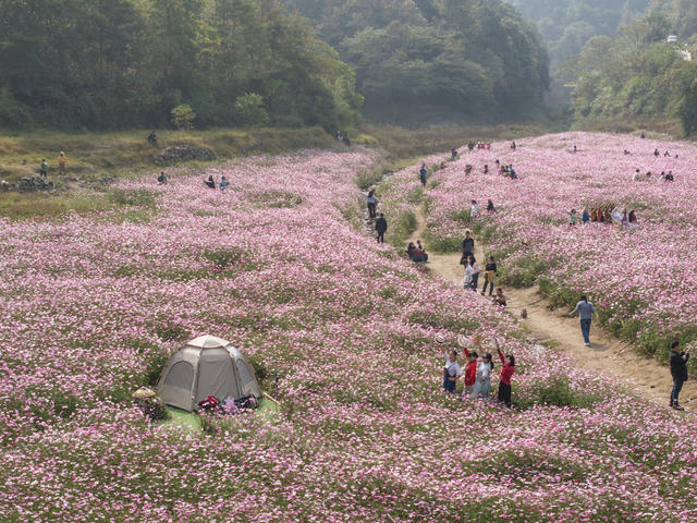 旅游，休闲经济，花海，消费提振，鹤城凉山