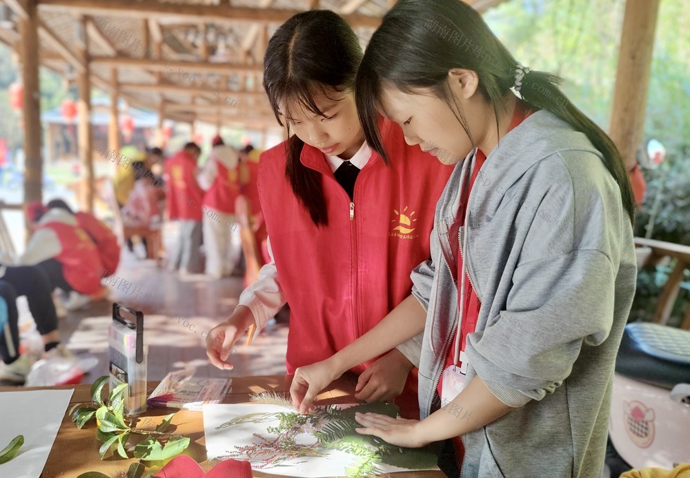 树叶有“画”  “贴”出秋韵
