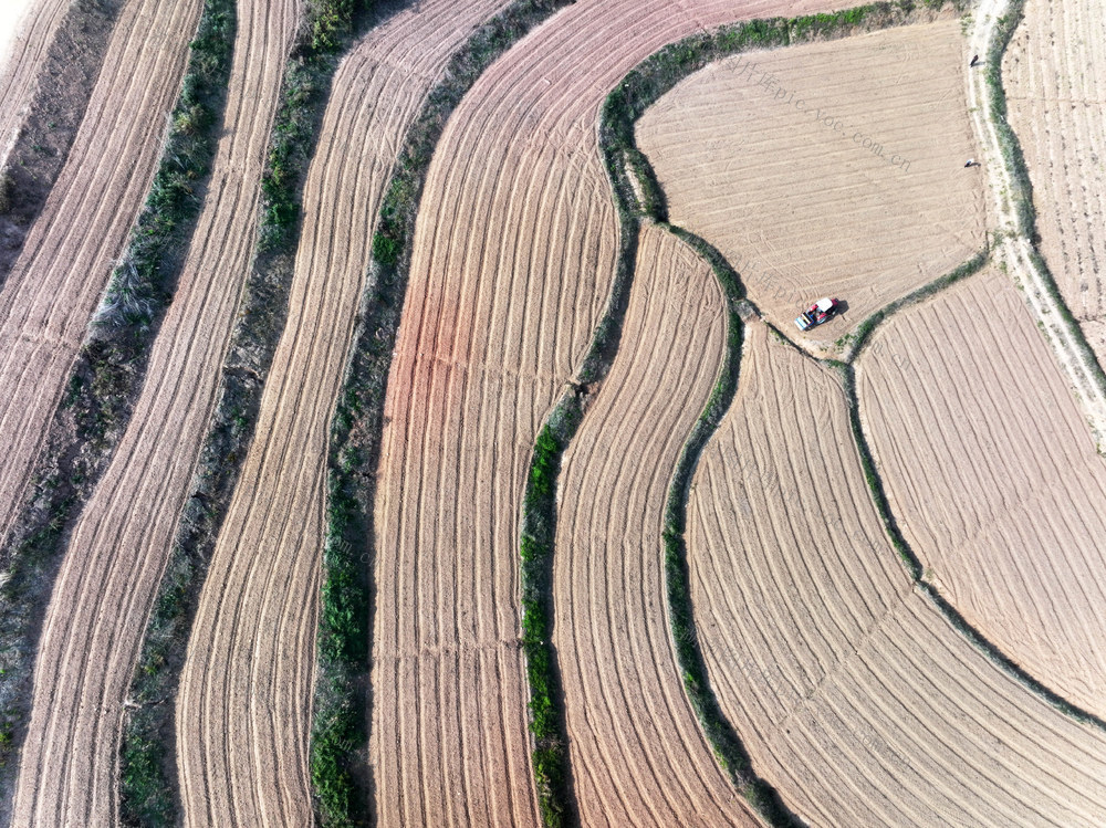 经济  种植业  中药材  射干  播种 
 机械化  劳动强度  播种效率
