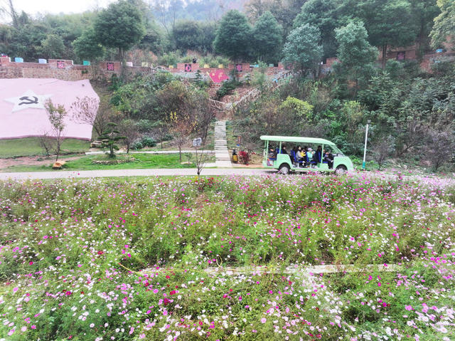 经济  旅游  深秋  景区  花海  游客