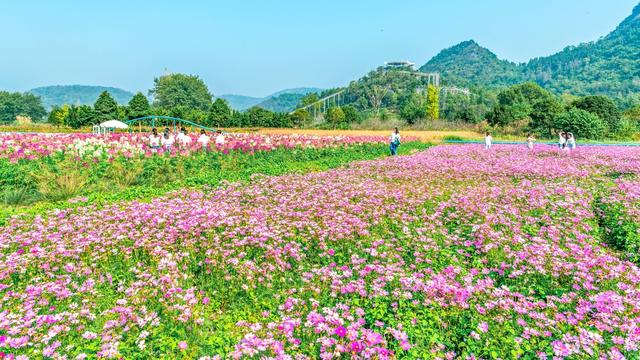 全域旅游  文旅融合  乡村振兴
