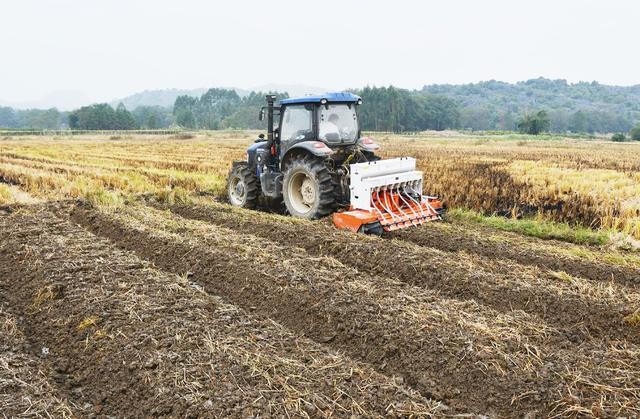 “稻油”轮作 增产增收