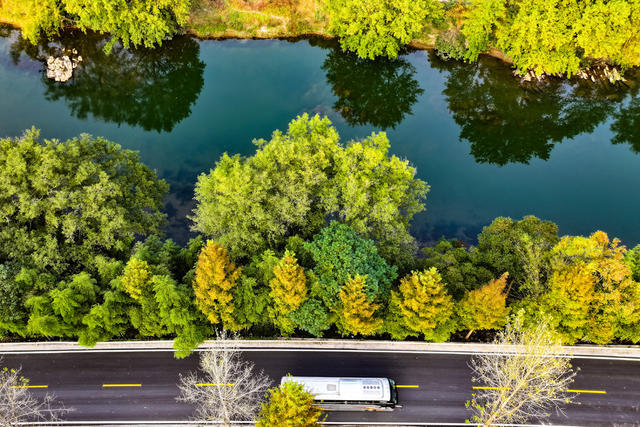 路 公路 四好公路 公交车 秋景