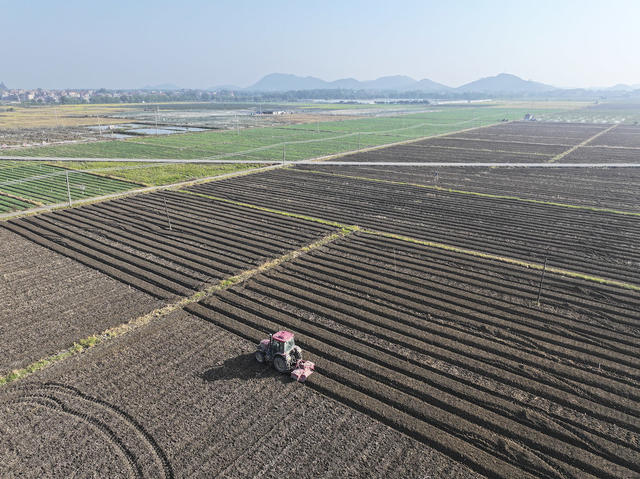 立冬  农事 农业生产  冬种  冬耕 冬收