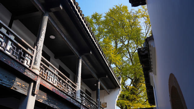 旅游 福严寺 南岳衡山 古寺 秋景