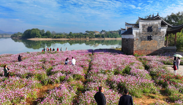 冬日 暖阳 周末 休闲 游玩