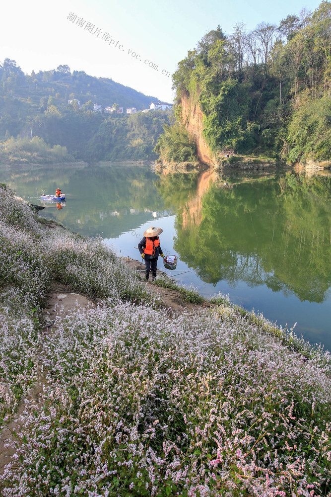 湖南，龙山，清理，漂浮物，河水，清洁，环境