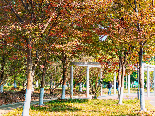 湿地公园  自然生态