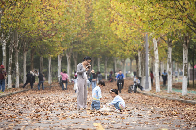 娄底 初冬 美景 色彩斑斓 周末