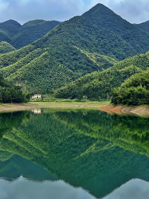 水库 生态 湿地
