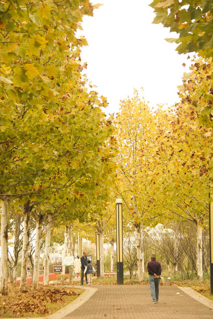 初冬景色 生态环境 公园  休闲 假日