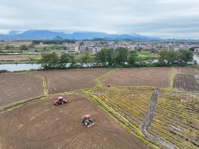 蔬菜
农事
初冬
