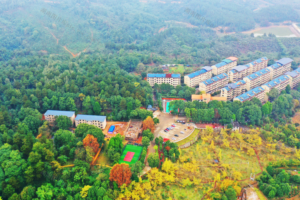 嘉禾：层林尽染，美景如画