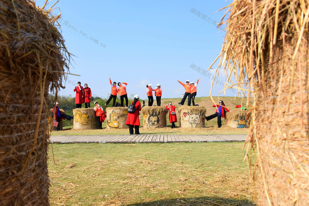 银发经济  老年生活  国家考古遗址公园  稻作之源  稻草艺术