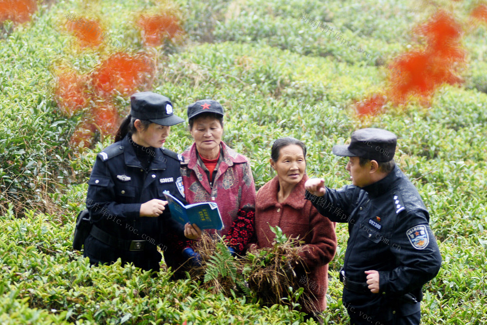 武陵源：防诈宣传进景区