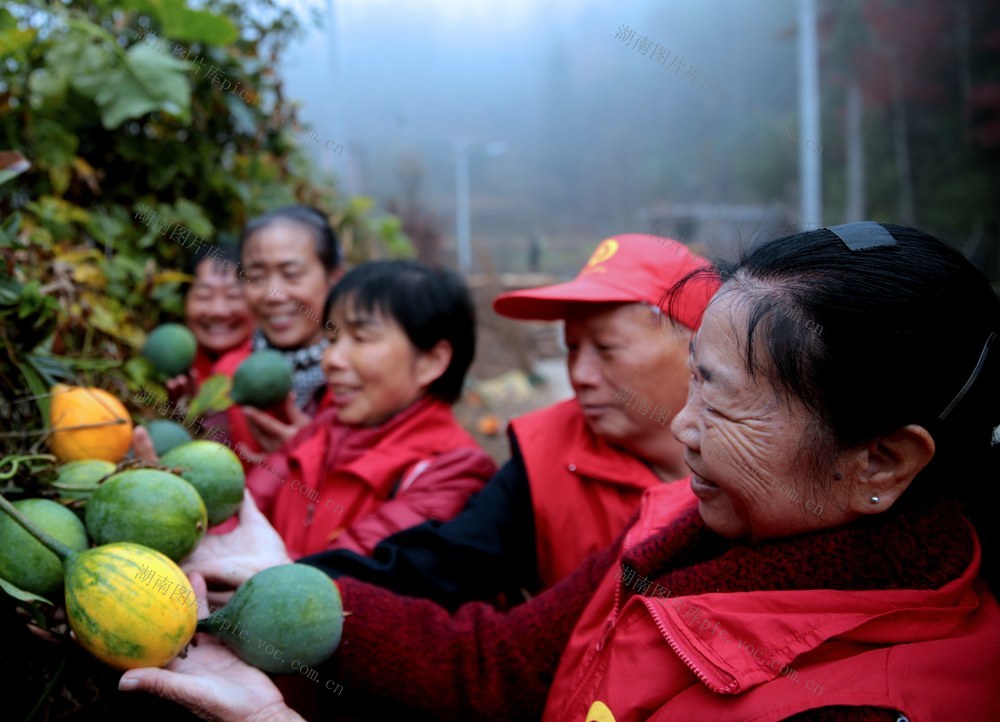 湖南桂东 瓜娄 香 游客 乡村振兴